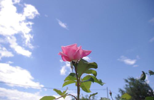 Apartment LuMaGo - Photo 37