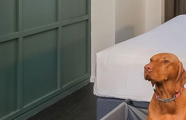 The Urban Newtown - Foto 30