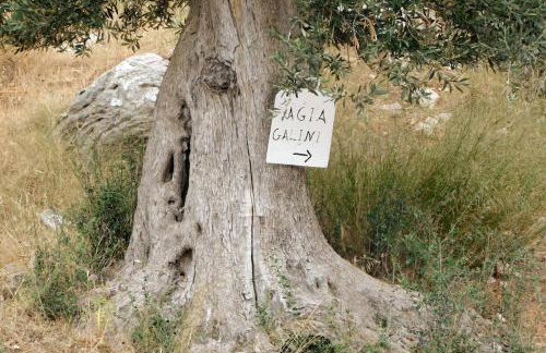 Orne Magical Retreat - Foto 39