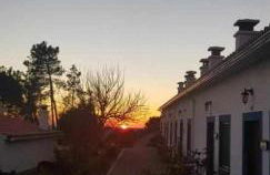 Quinta da Idalina - Foto 40