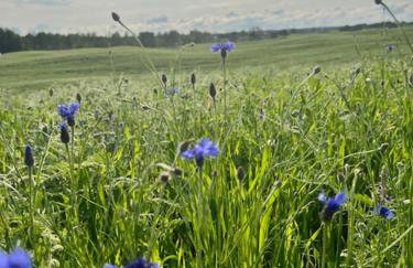 Przystanek Prawdowo - Foto 31