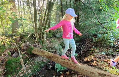 Altes Forsthaus Bodenmais - Foto 39