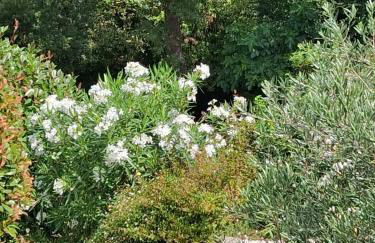 Rez de Jardin d'une Bastide VILLA LA GARDI avec Piscine privée - Foto 30