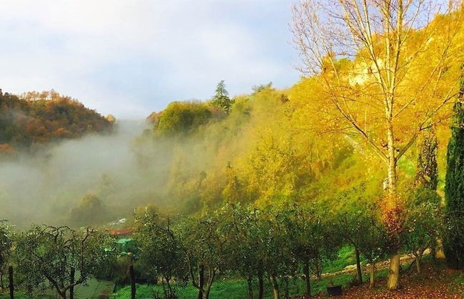 Bio Agriturismo Valle dei Calanchi - Foto 57