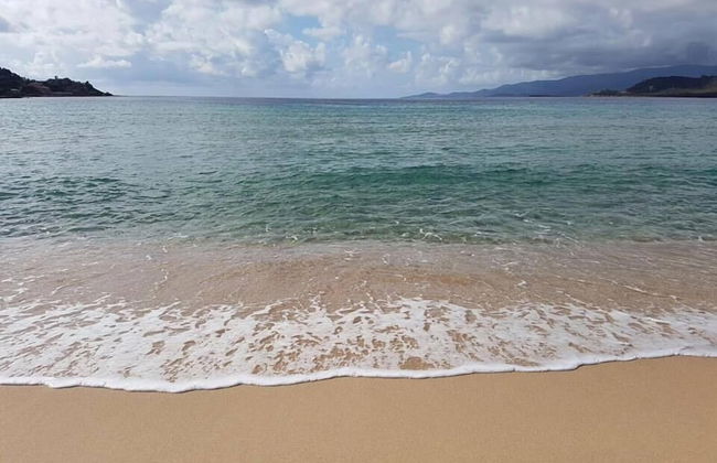 Corsica Paradise - Photo 27