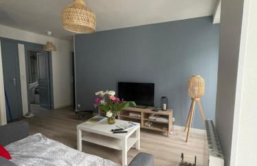 Bel appartement T3 au 1er étage avec cour intérieure au RDC - Villa Marie - Foto 1