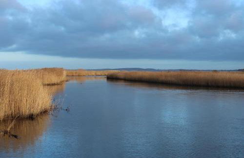 KLEINE LANDLIEBE - Foto 11