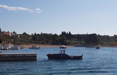 Apartments Zafranović - Foto 15