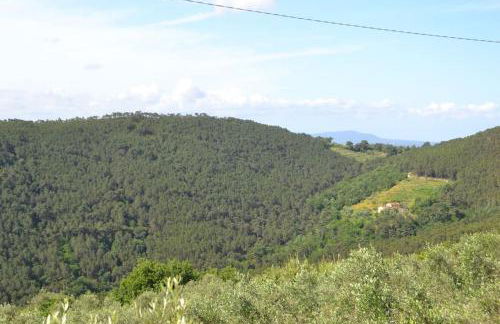 Il Rustico Vicopisano - Foto 23