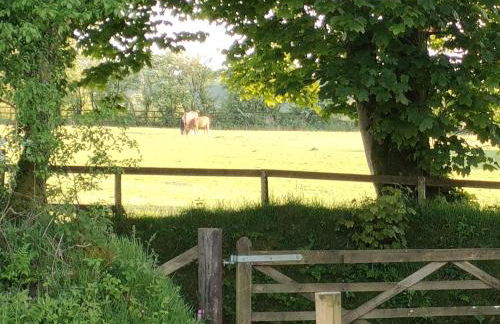 1 Bed in Rhydowen 85415 - Photo 14