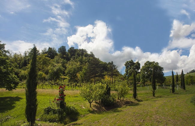 Agriturismo Il Cavicchio - Foto 35