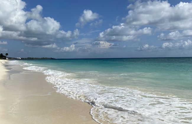 The Lookout - Coral Beach - Foto 14