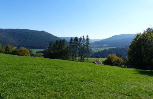 Ferienwohnungen in Schönmünzach - Photo 28