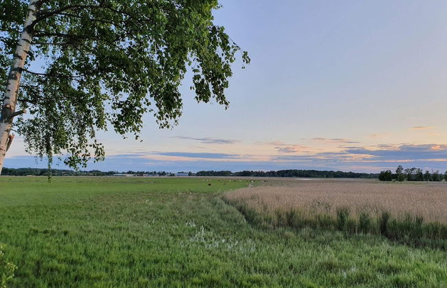 6 Person Holiday Home in Hammaro-by Traum - Foto 16