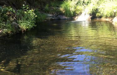 Casas Rurales Prunus Avium - Photo 83