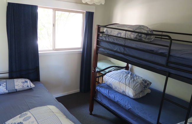 The Black Sparrow - Photo 3