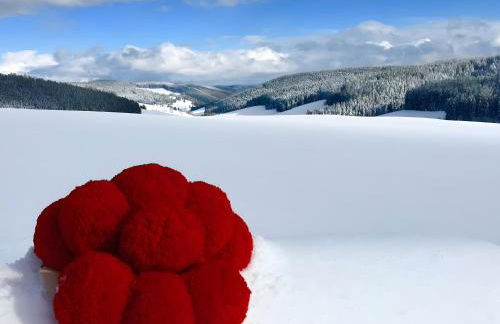 Lettwieshof Birgit und Peter Heine - Foto 9