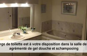 Au cèdre bleu - Foto 9