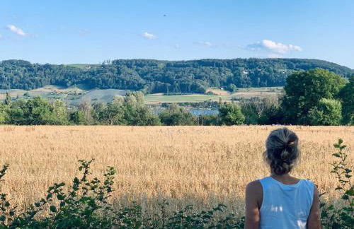 Seehaus BEIJA-FLOR - Bodensee-Radweg & -Badeufer - Foto 31