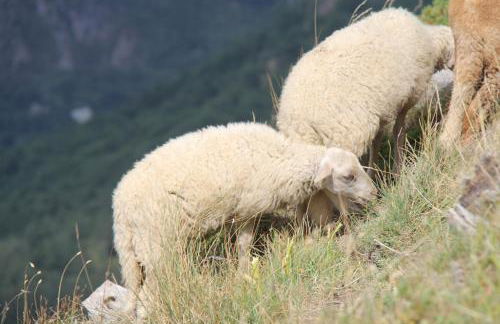 Résidence : Le Crystal Chalet - Foto 35