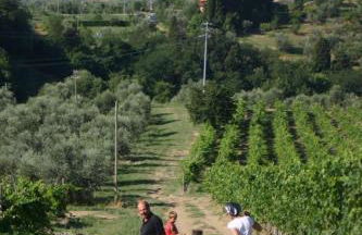 Podere il Poggiolo - Foto 81