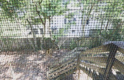 Decked Out - Foto 26