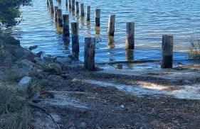 NICE PLACE Studio1 of 2 - Foto 34