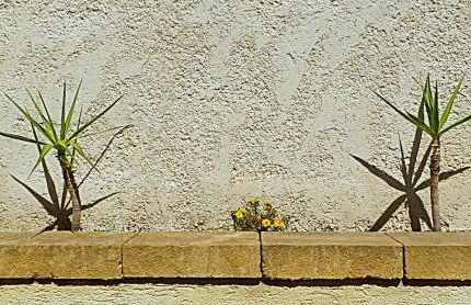 The White Rocks - Foto 39