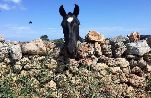 Casa de Campo cerca de Ciutadella con piscina - Foto 23