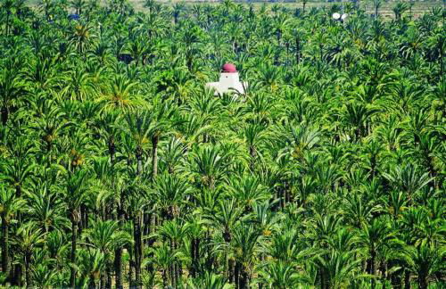 Piso Centro Elche junto Basílica - Foto 15