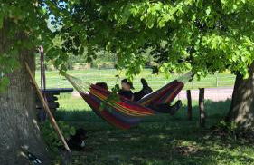 Ferienwohnung Friesenstube - Foto 13