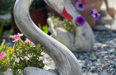 House of Sunset - Tranquility - View - Relaxation - Photo 72