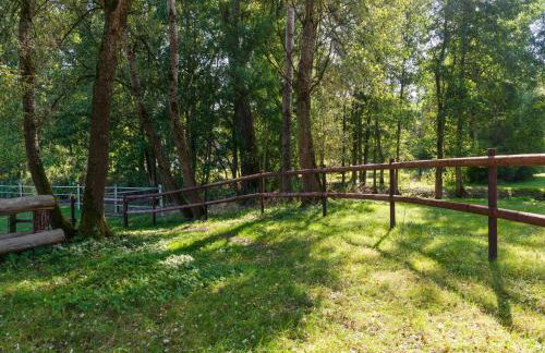 Blockhauser auf Reiterhof in Eschede - Foto 144