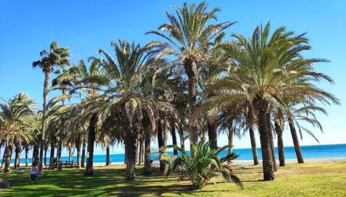 Apartamento Playamar Torremolinos - Foto 3, Garden