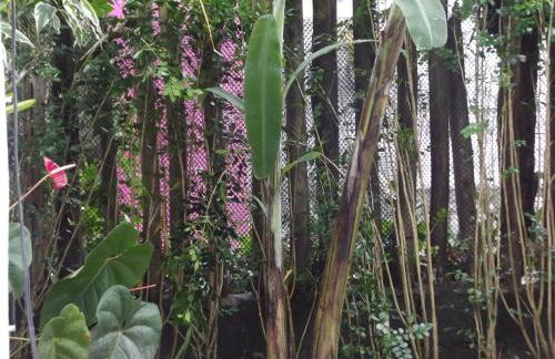 Cantinho bora praia Boraceia - Foto 78