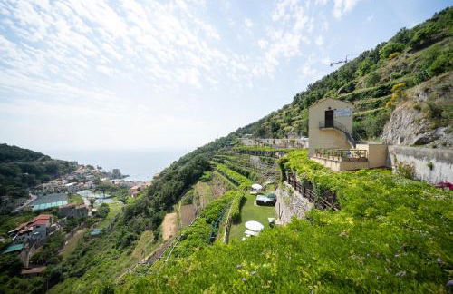 Limoneto Di Ercole - Foto 22