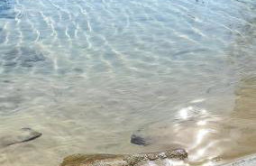 Lake's House - Piscina natural aquecida - Foto 9