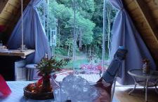 Sitio Lar da Terra - Foto 36