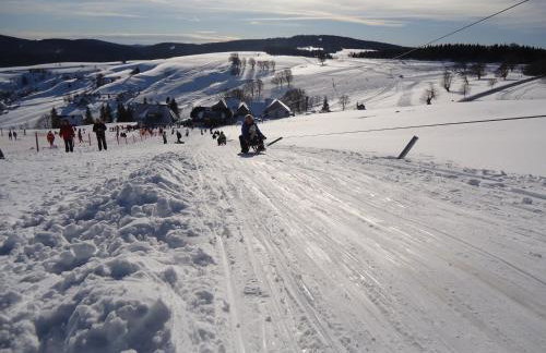 Familien-Appartement Schwarzwald bei Freiburg mit bis zu 4 Schlafzimmern - Foto 58
