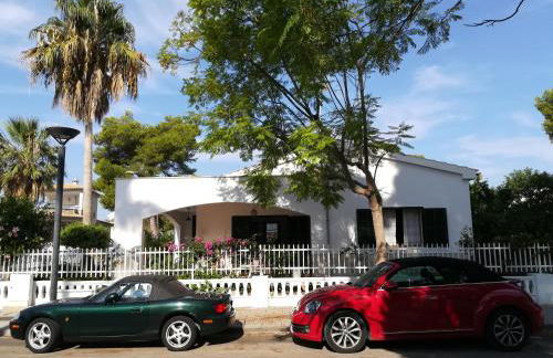 Carrasqueta - Foto 40