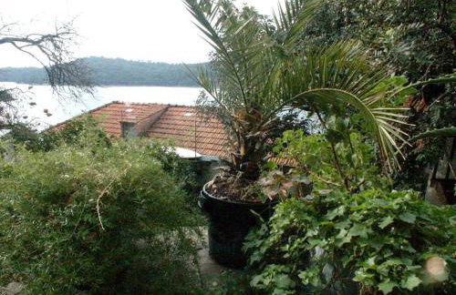 Apartments by the sea Babine Kuce, Mljet - 610 - Photo 4