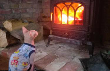 Forreset - leśny reset - Foto 48