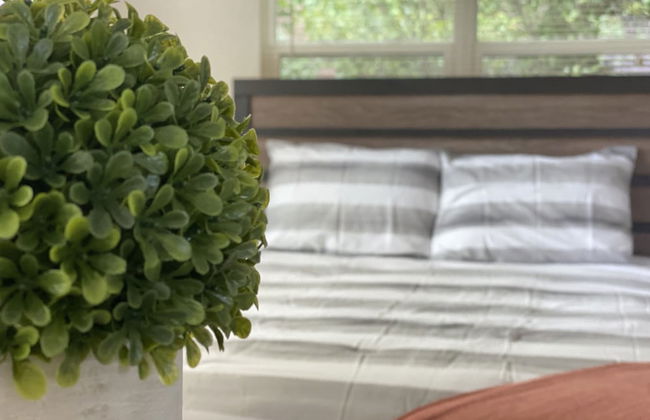 Eviestays Studio Close to OU, Downtown - Photo 18