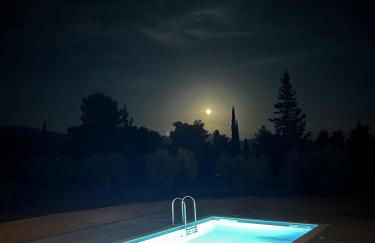 Olive Grove Villas Galaxidi - Foto 16