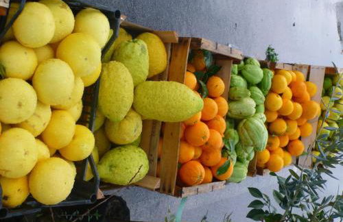 Casa Bianca Grande - Foto 11