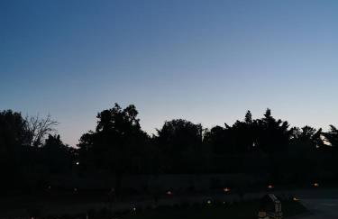 Platan Paradise - Foto 36