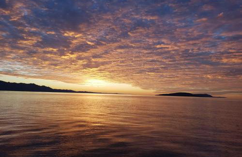 Apartments Latkovic - Photo 51