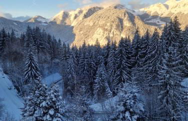 Alpine 1 bed Chalet with beautiful views - Foto 26