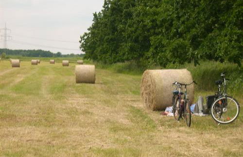 Ferienwohnung Hainbuche Lübben im Spreewald - Foto 32