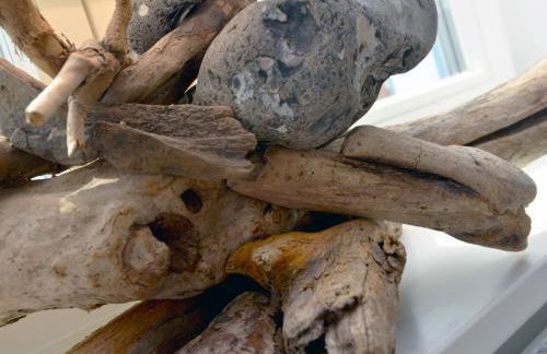 Dat Dörphus am Bodden - WG 02 - Foto 12